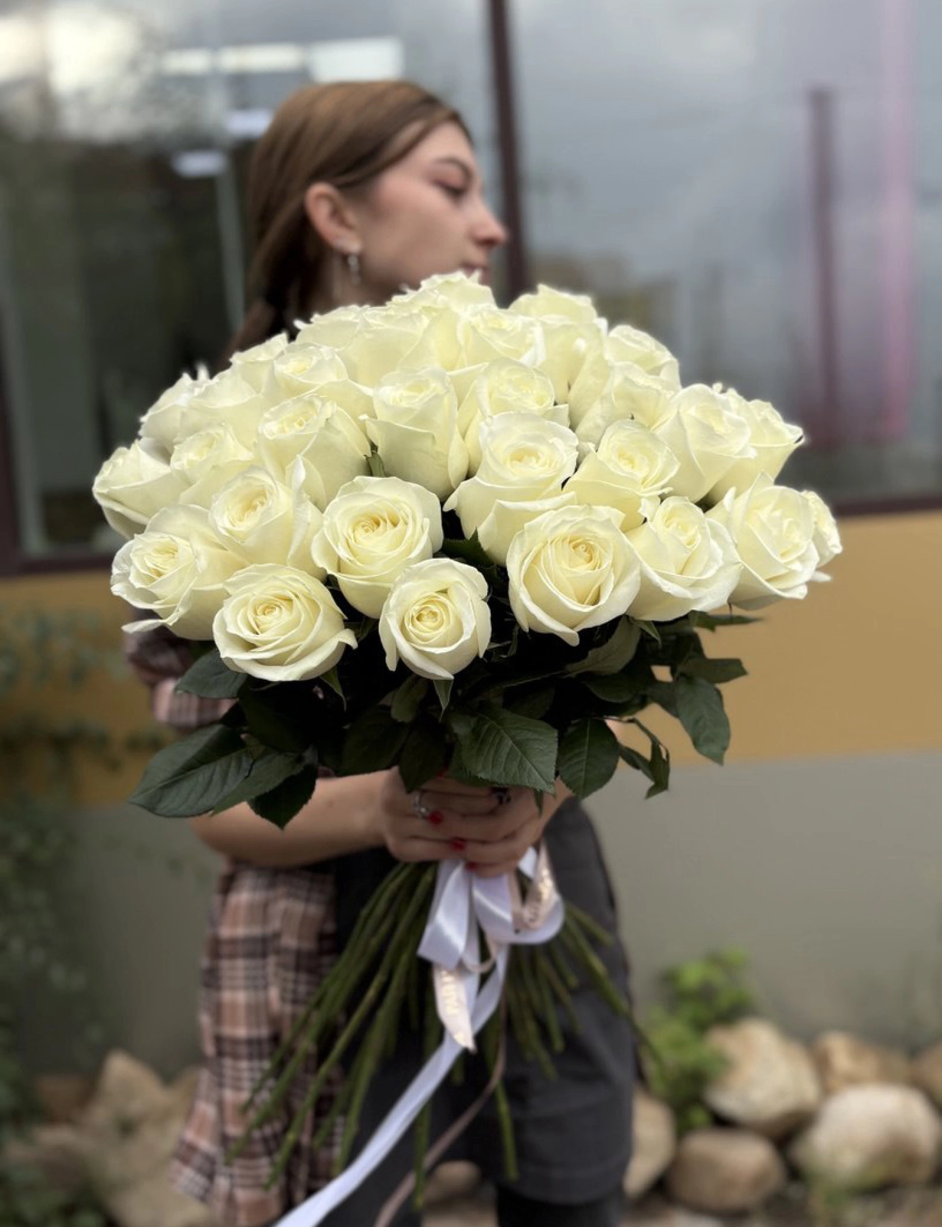 Моно букет белых роз на ленте 33 шт