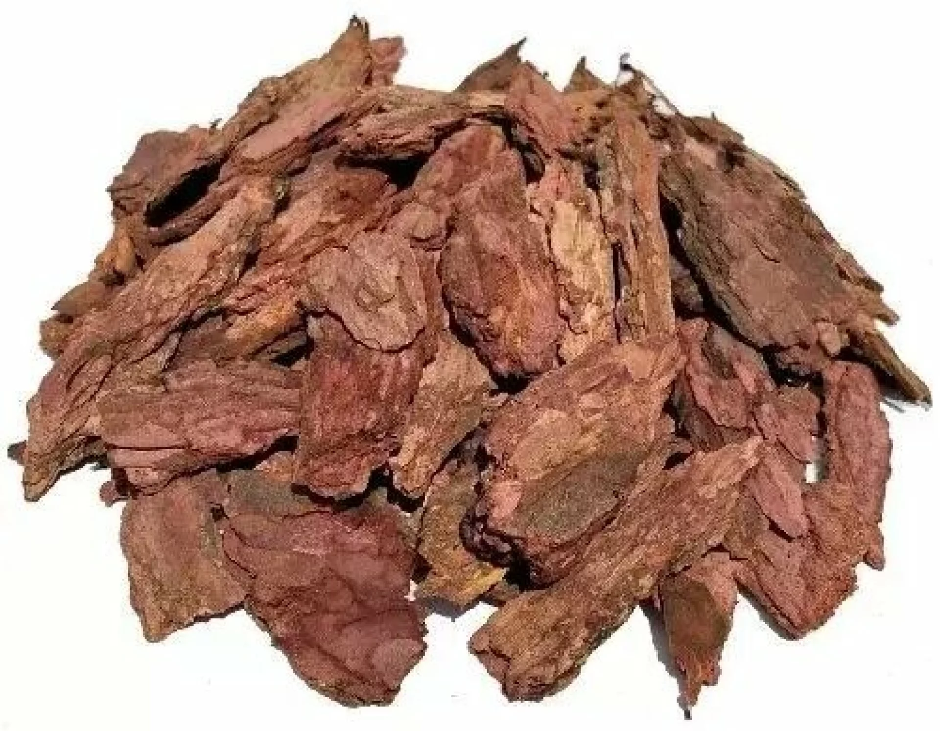Лиственница сибирская, кора