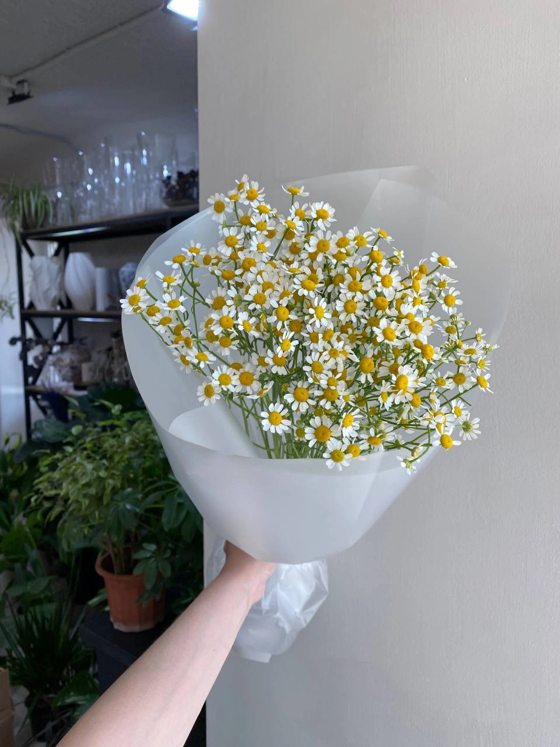 Букет из ромашек 7шт