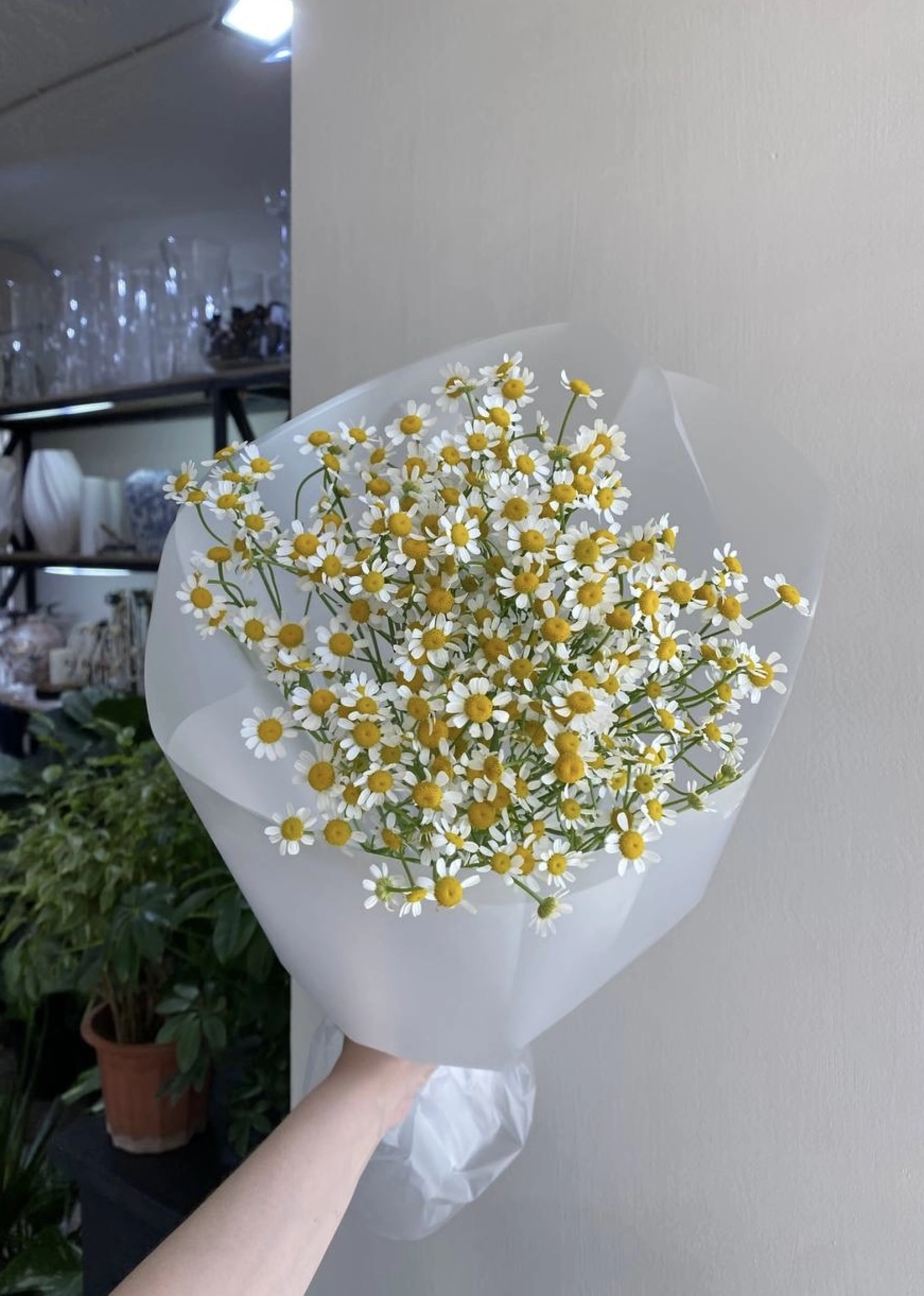 Букет из ромашек 7шт